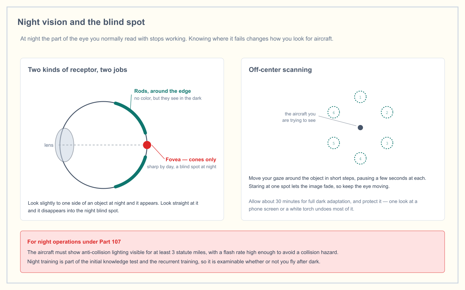 Diagram of the human eye showing rods concentrated around the periphery of the retina and the cone-only fovea at the center, labeled as a blind spot at night, alongside an off-center scanning pattern of six positions around a target aircraft.